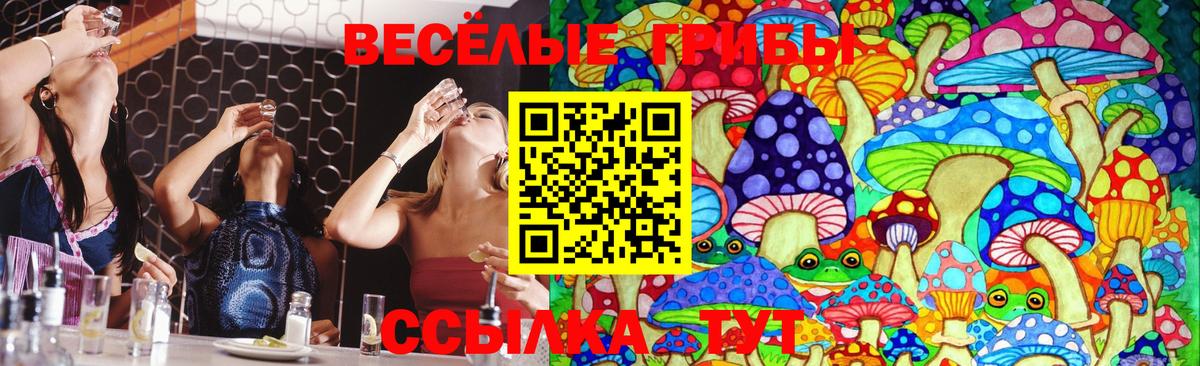 Карачаевск  Псилоцибиновые грибы мухоморы  Вход с VPN 